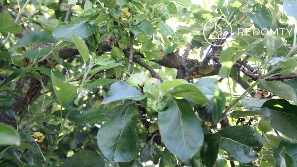 ČAROVNÁ CHALUPA na predaj, Jasenie