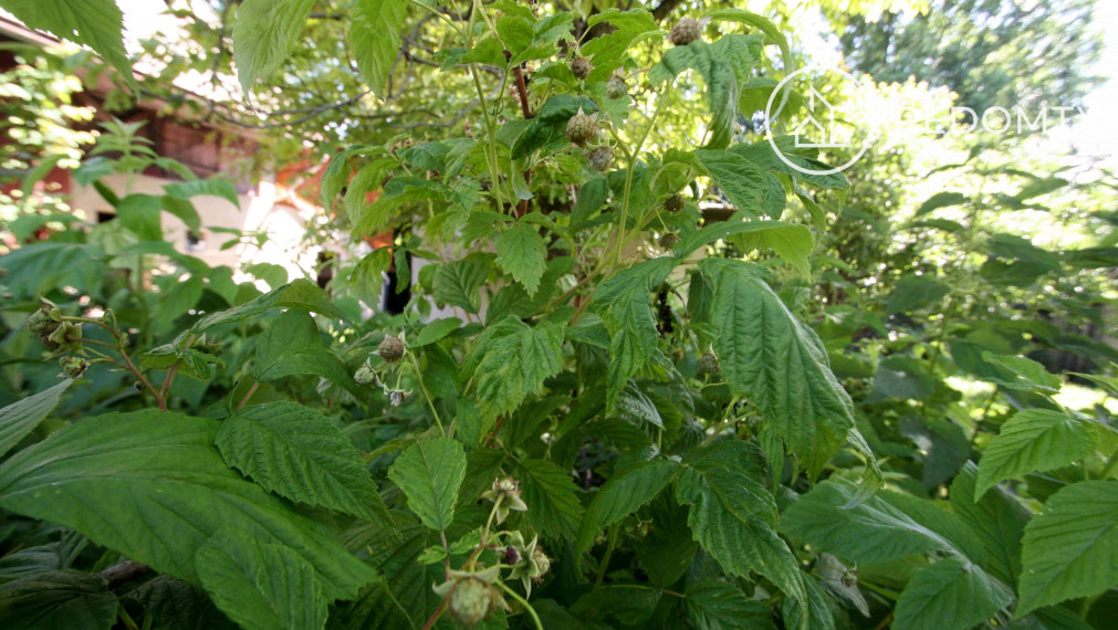 ČAROVNÁ CHALUPA na predaj, Jasenie