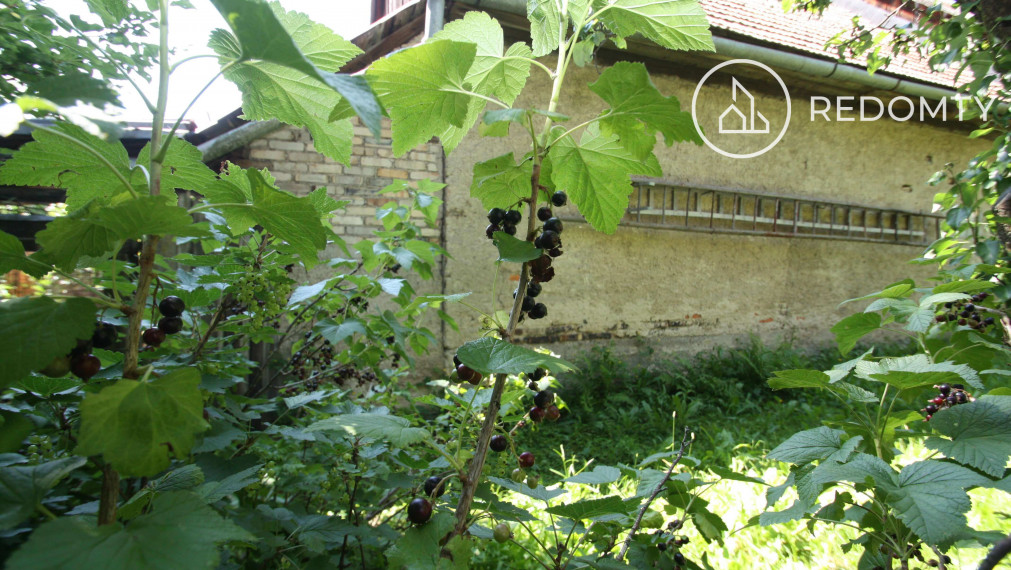 ČAROVNÁ CHALUPA na predaj, Jasenie