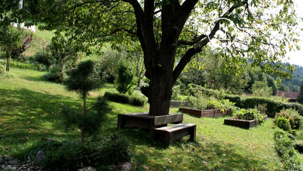 Predaj rodinného domu, Beňuš