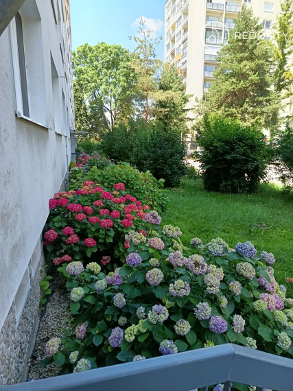 PRENAJATÉ Prenájom 1 izbového bytu na Sídlisku Rimava v Rimavskej Sobote